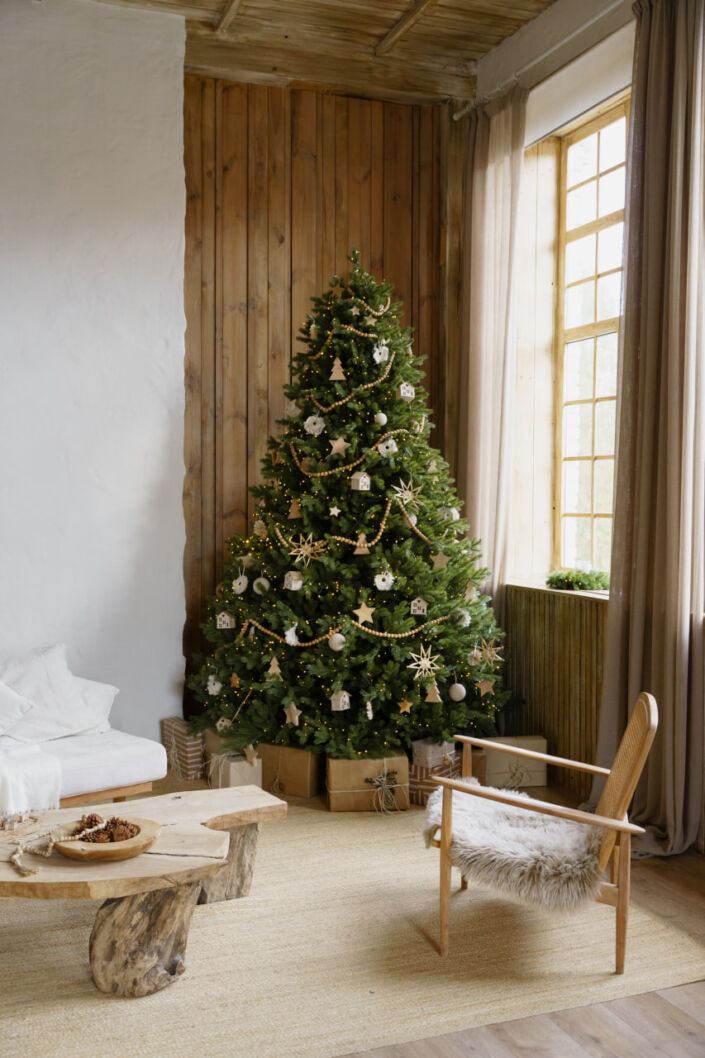 Фотостудия Киев, зал Family, 132