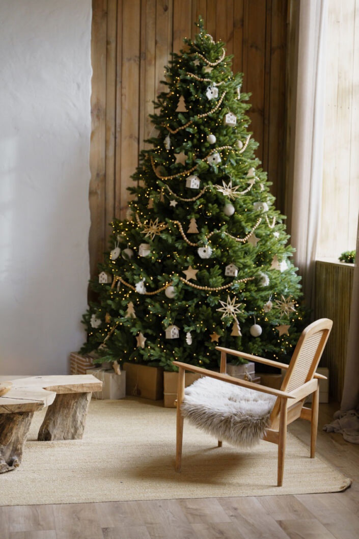 Фотостудия Киев, зал Family, 133