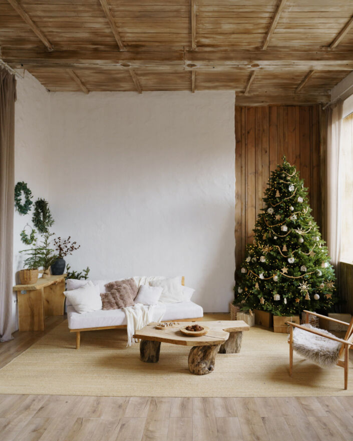 Фотостудия Киев, зал Family, 134