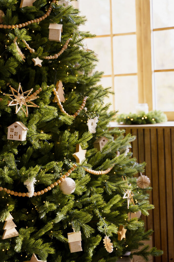 Фотостудия Киев, зал Family, 136