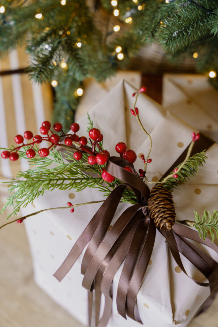 Фотостудия Киев, зал Family, 146