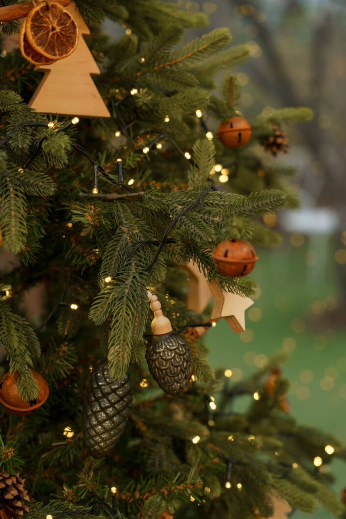 Фотостудія Київ, локація Сад 184