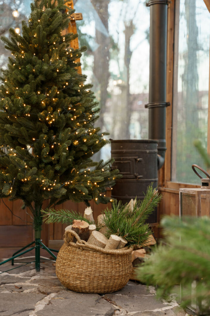 Фотостудія Київ, локація Сад 185