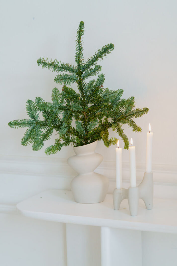 Фотостудія Київ, зала Ligh186