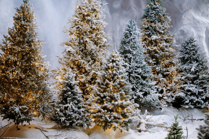 Фотостудія Київ, зала Studio Film, 84