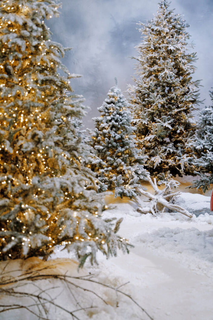 Фотостудія Київ, зала Studio Film, 85