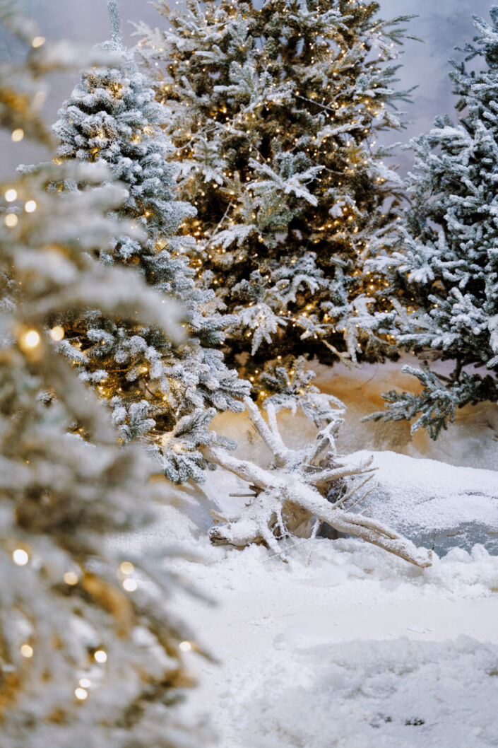 Фотостудія Київ, зала Studio Film, 86