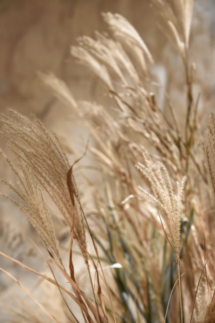 Фотостудія Київ, зала Studio Film, 101