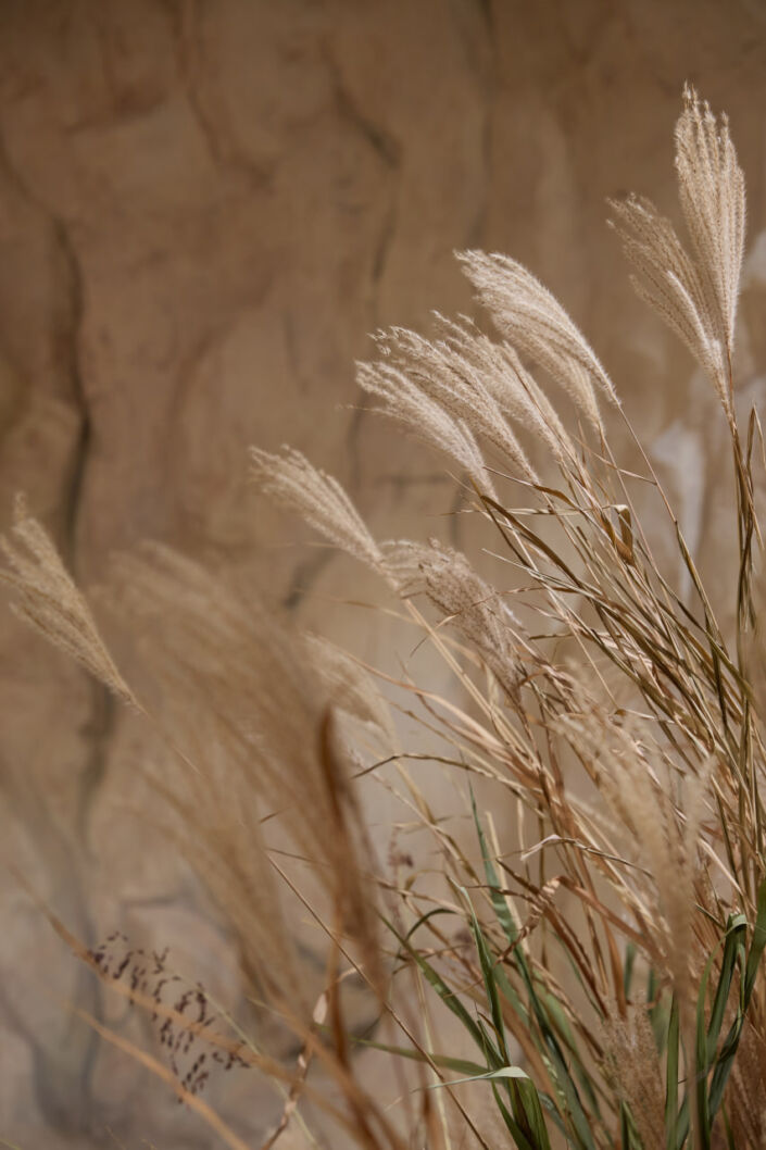 Фотостудія Київ, зала Studio Film, 102